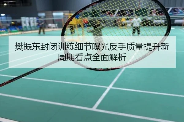 樊振东封闭训练细节曝光反手质量提升新周期看点全面解析